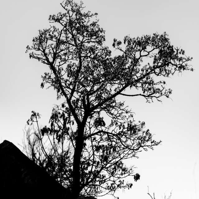 天气预报，带niki81vd精美的照片