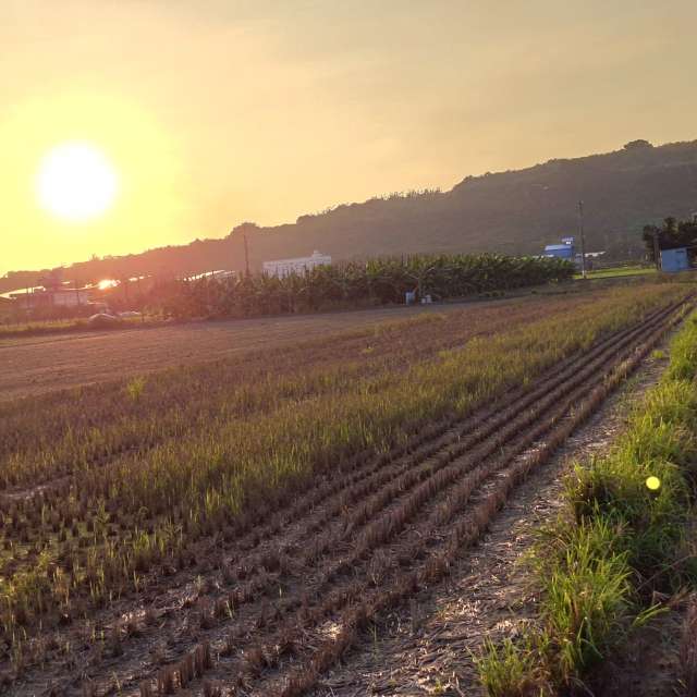 Fotos Ferrovia. Previsões do tempo com lindas fotos de Wen-ya Huang em Kaohsiung City