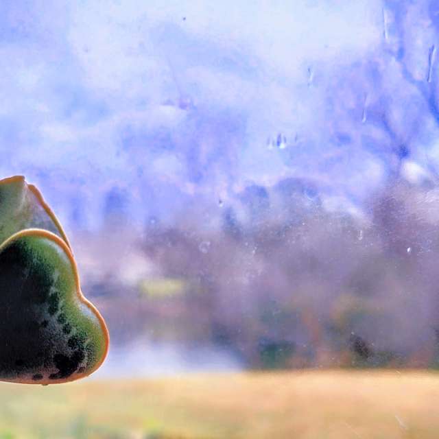 Прогнозы погоды с чудесными фотографиями, сделанными Ghostroku