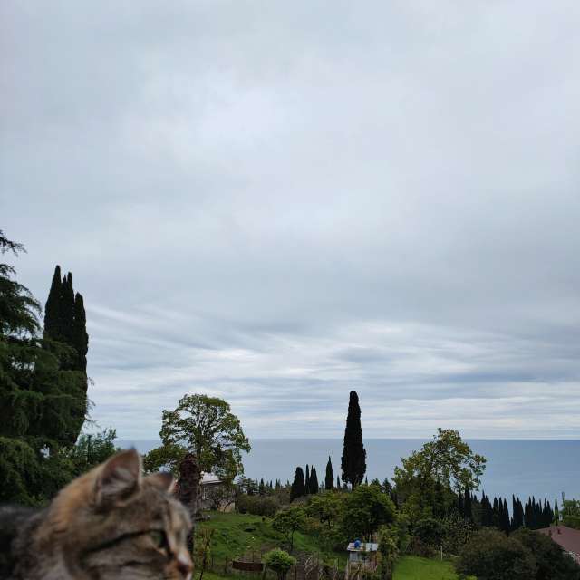 Wettervorhersagen mit schönen Fotos von Belkka303