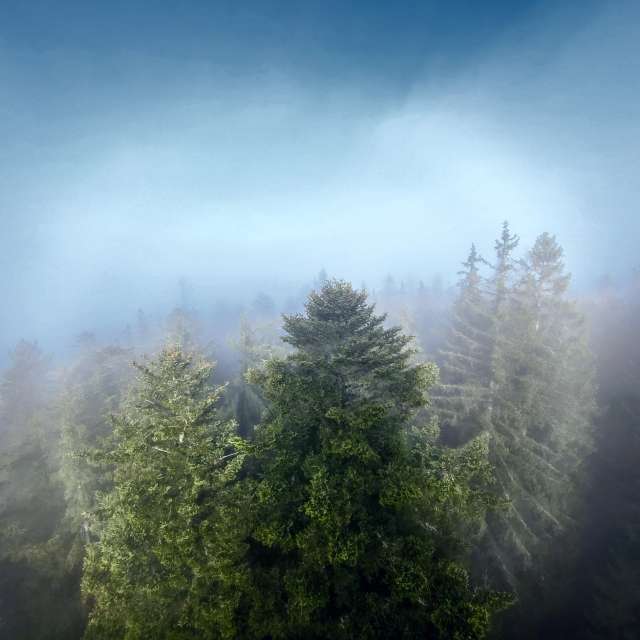 Prévisions météo avec de superbes photos de hejpetrpepa