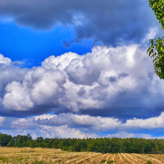 Weather forecasts with beautiful photos by George Popo