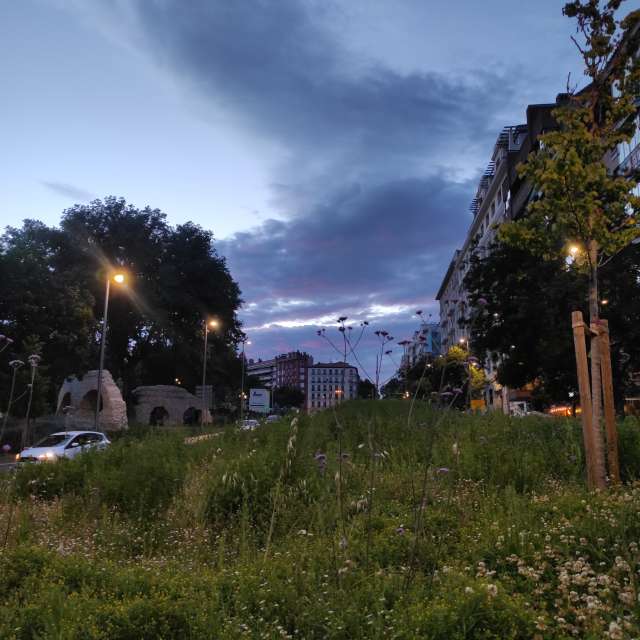 Green. Weather forecasts with beautiful photos by Ylla Ylla Ylla Photos in Madrid