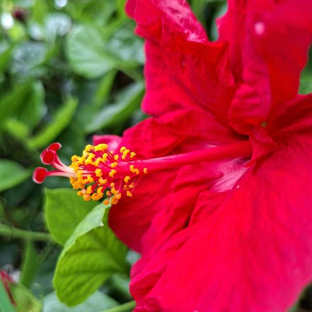 Photos Femme. Prévisions météo avec de superbes photos de Wen-ya Huang de Kaohsiung