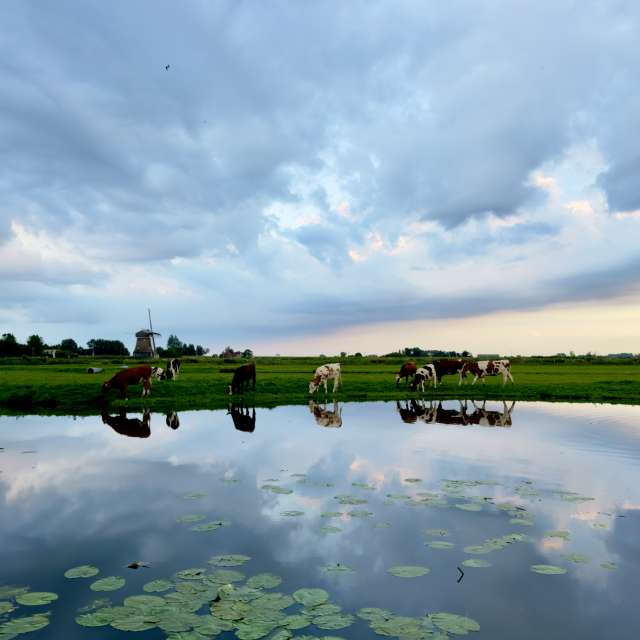 Prévisions météo avec de superbes photos de Riverbird