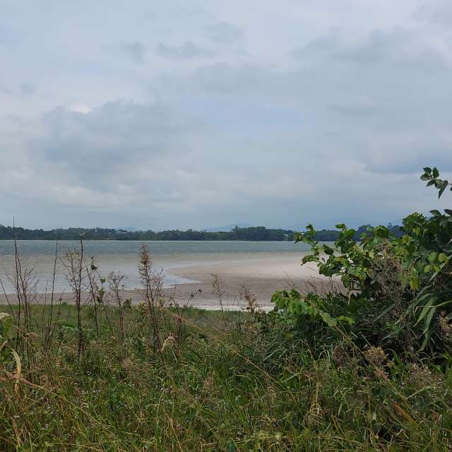 Wettervorhersagen mit schönen Fotos von catiams