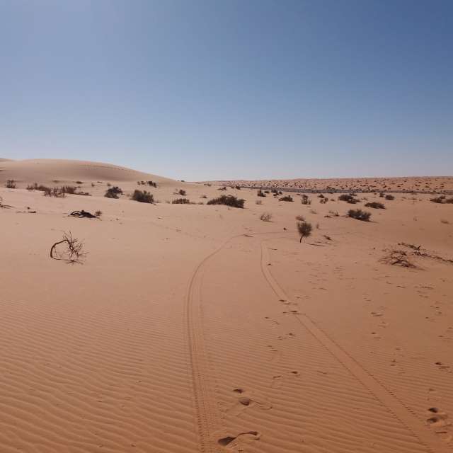 Photos Eau. Prévisions météo avec de superbes photos de BELGHOUL-KADDA de Béchar