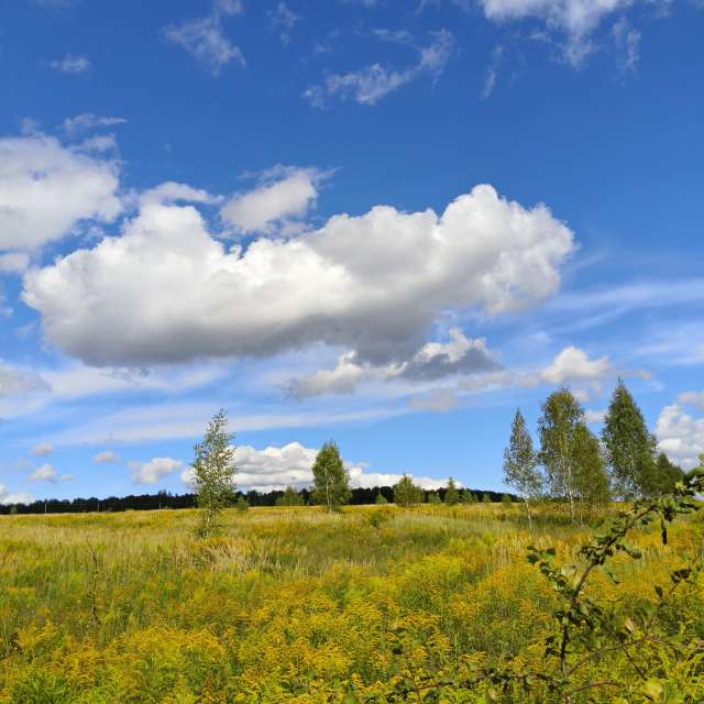 Blue. Weather forecasts with beautiful photos by Aleksei Photos in Tula