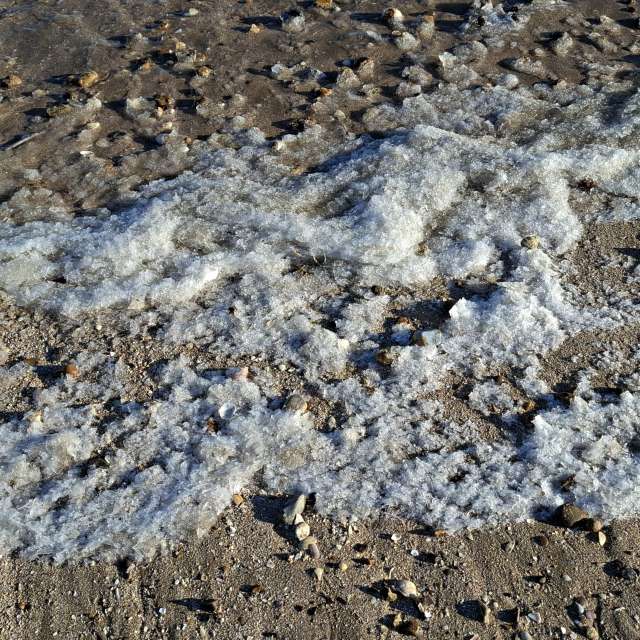 Previsões do tempo com lindas fotos de Lolli