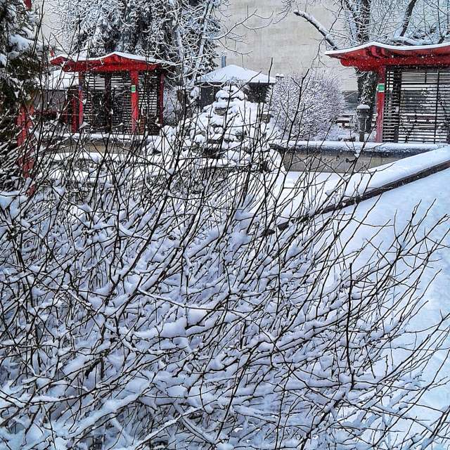 Forest. Weather forecasts with beautiful photos by urashm Photos in Khmelnytskyi