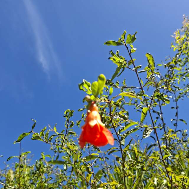 Fotos Floresta. Previsões do tempo com lindas fotos de Wen-ya Huang em Kaohsiung City