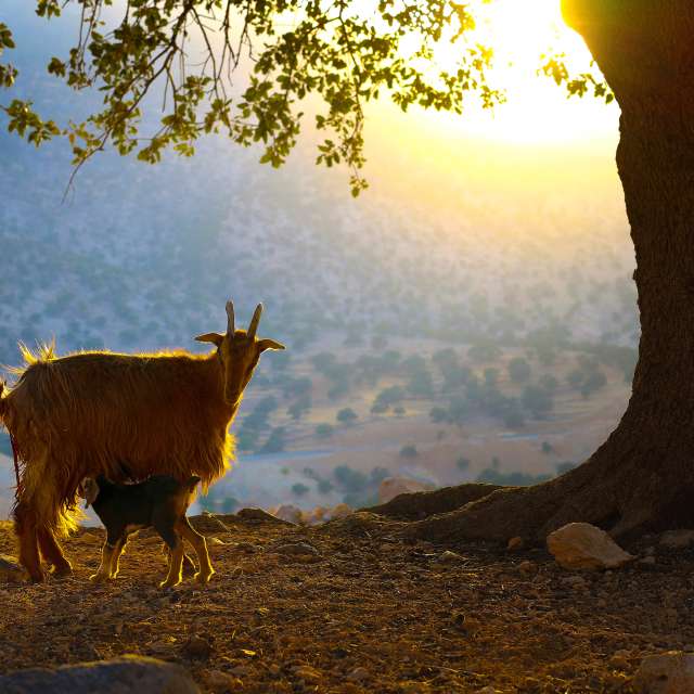 Pronósticos del tiempo con hermosas fotos de zabih_hasanvand
