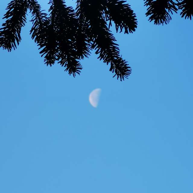 索菲亞的Weather. 天气预报，带Alexander Kostov精美的照片照片