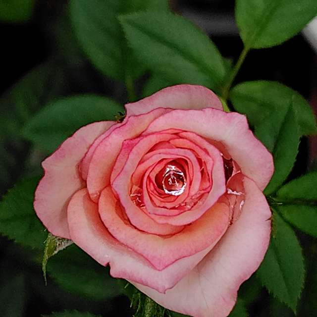 Weather Photos in World. Weather forecasts with beautiful photos by umemui