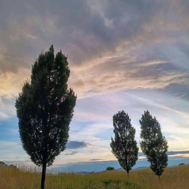Weather forecasts with beautiful photos by Kripo