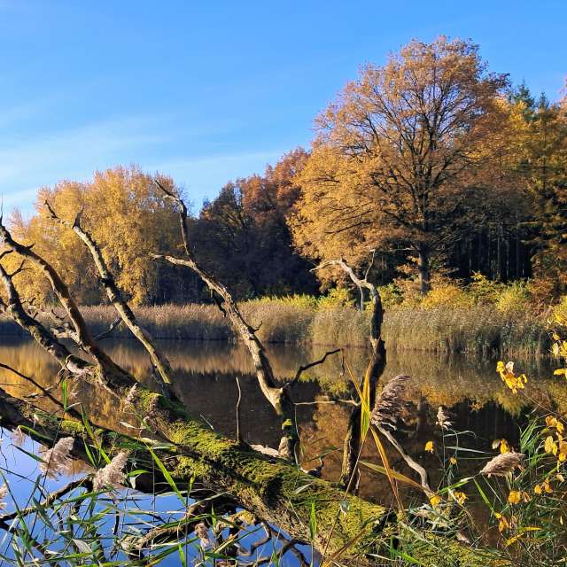 Прогнозы погоды с чудесными фотографиями, сделанными fwerner
