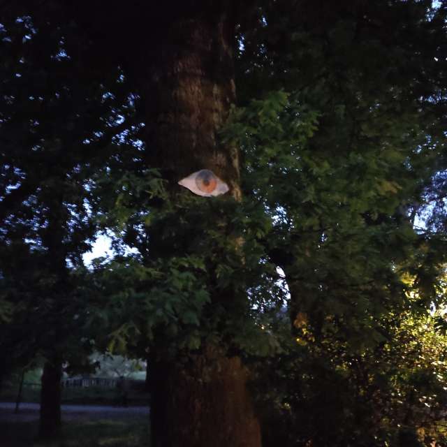 Previsões do tempo com lindas fotos de BIKOTRAVEL