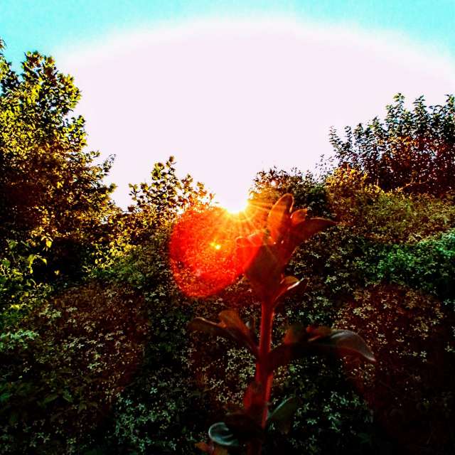 Previsões do tempo com lindas fotos de eilertannunaki