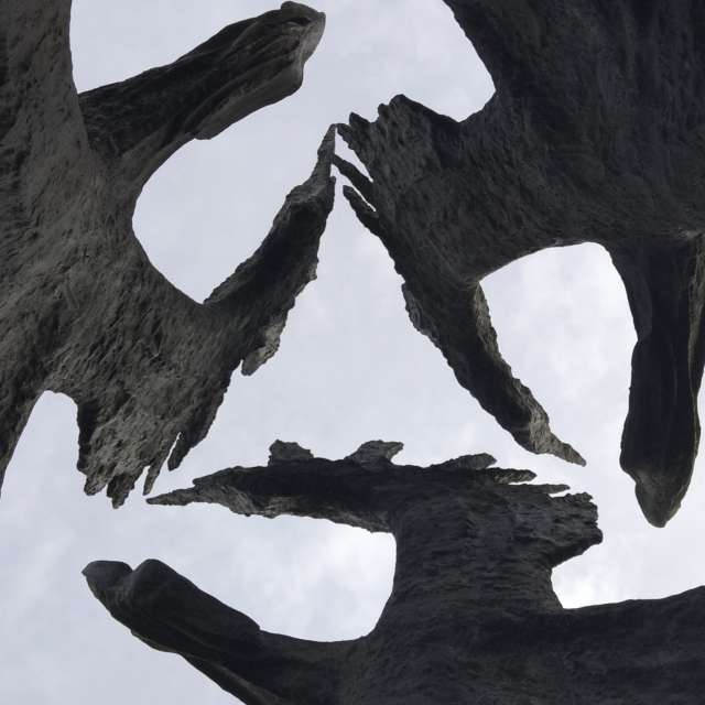 Fotos del Campo. Pronósticos del tiempo con hermosas fotos de MSLidon en Cracovia