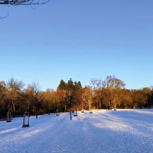 天气预报，带Gaucho精美的照片