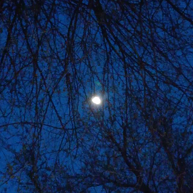 Fotos del Azul. Pronósticos del tiempo con hermosas fotos de YanBog en București