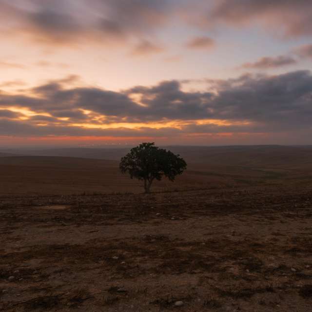 Prévisions météo avec de superbes photos de Tamir_photographer