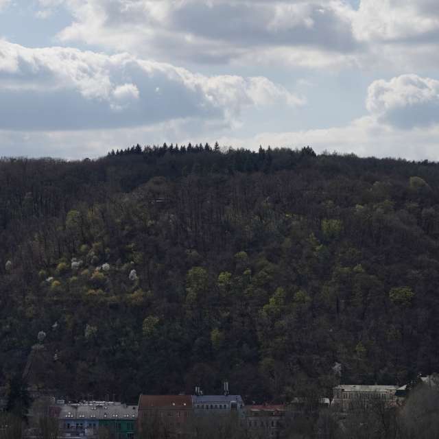 Braník的Weather. 天气预报，带Vasek325精美的照片照片