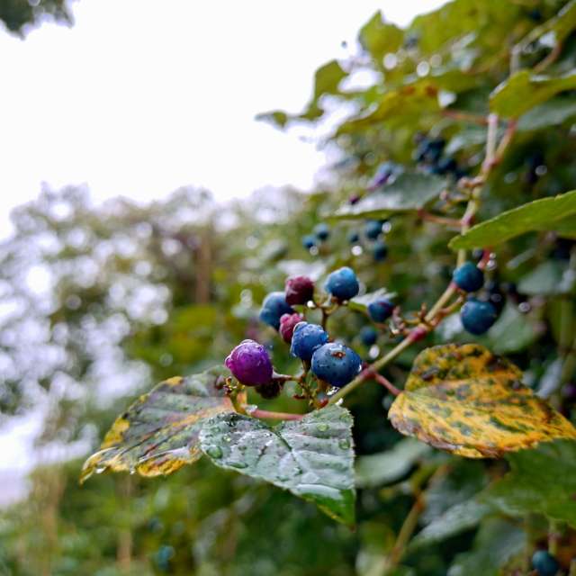People. Weather forecasts with beautiful photos by kon__miyuki Photos in World