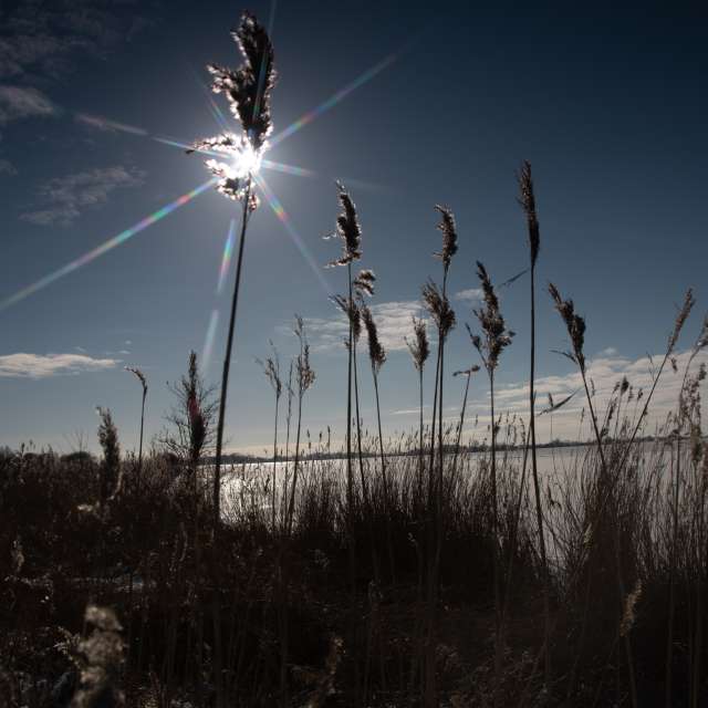 Weather forecasts with beautiful photos by RobertNagaj