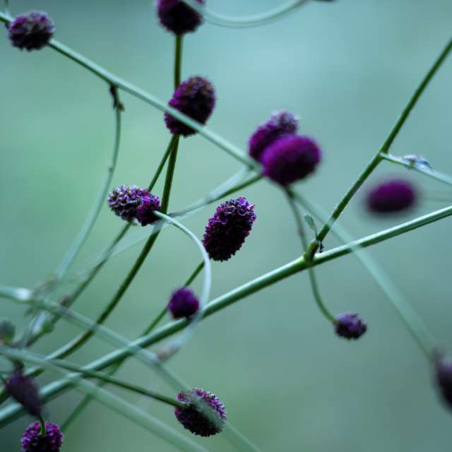 Fotos del Clima. Pronósticos del tiempo con hermosas fotos de Ashley en Tama