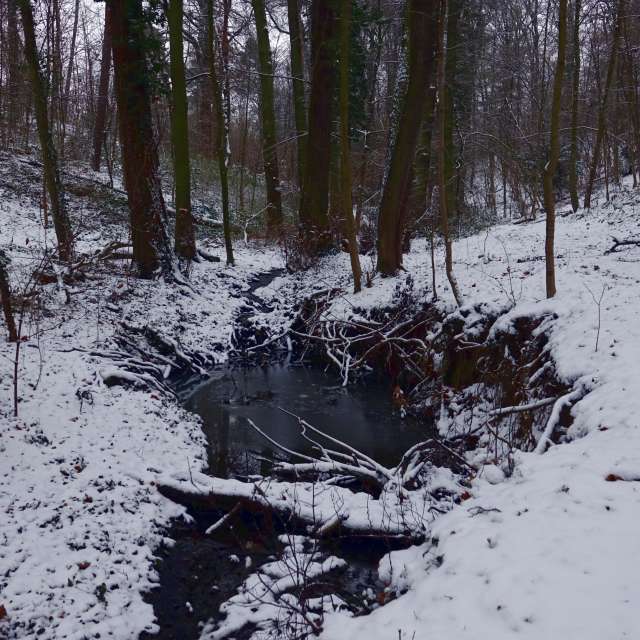 Fotos Caminho. Previsões do tempo com lindas fotos de Vasek325 em Praha 4