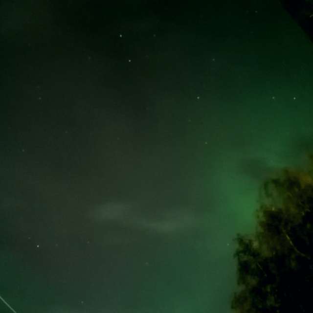 天气预报，带Gelimina_lion精美的照片