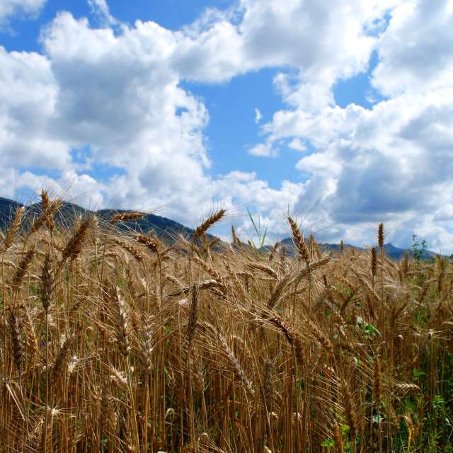 Hill. Weather forecasts with beautiful photos by Marcela Cervenakova Photos in World