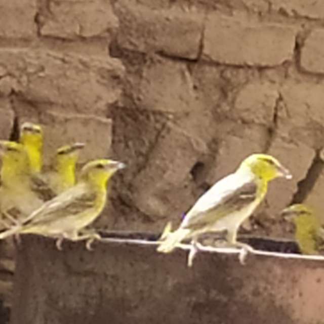 Прогнозы погоды с чудесными фотографиями, сделанными Mashaer