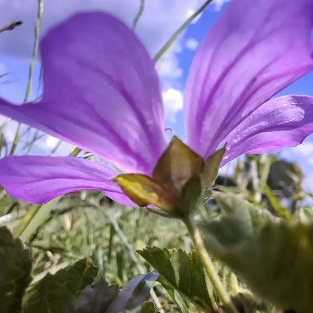 天气预报，带Aleksandar精美的照片