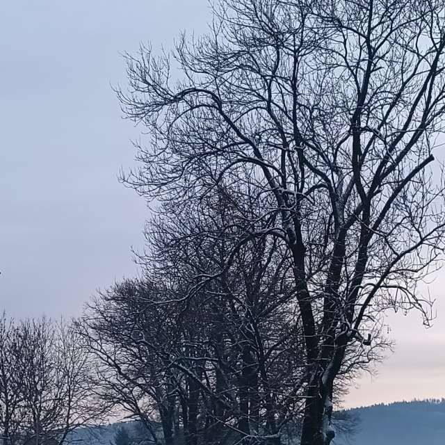 Little. Wettervorhersagen mit schönen Fotos von Kripo Fotos Ladek Zdroj