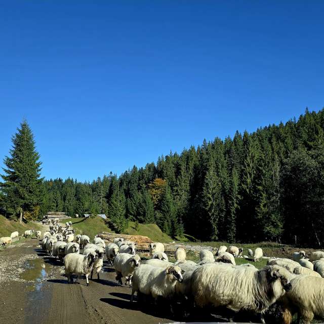 Weather forecasts with beautiful photos by Camelyon