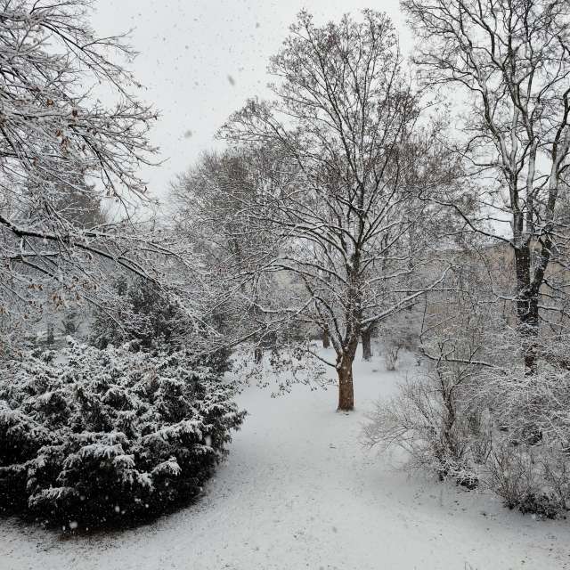 Previsões do tempo com lindas fotos de Oleg1961