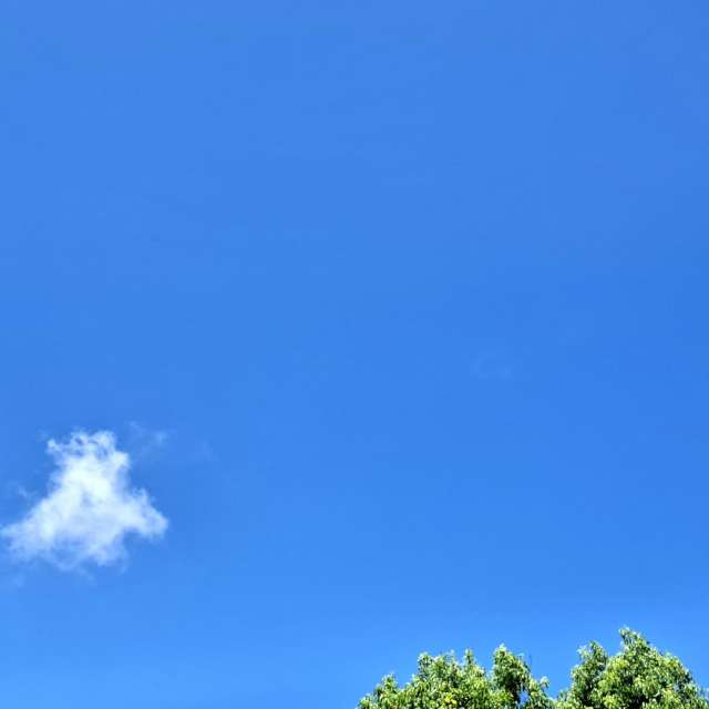 Parked. Weather forecasts with beautiful photos by Wen-ya Huang Photos in Kaohsiung City