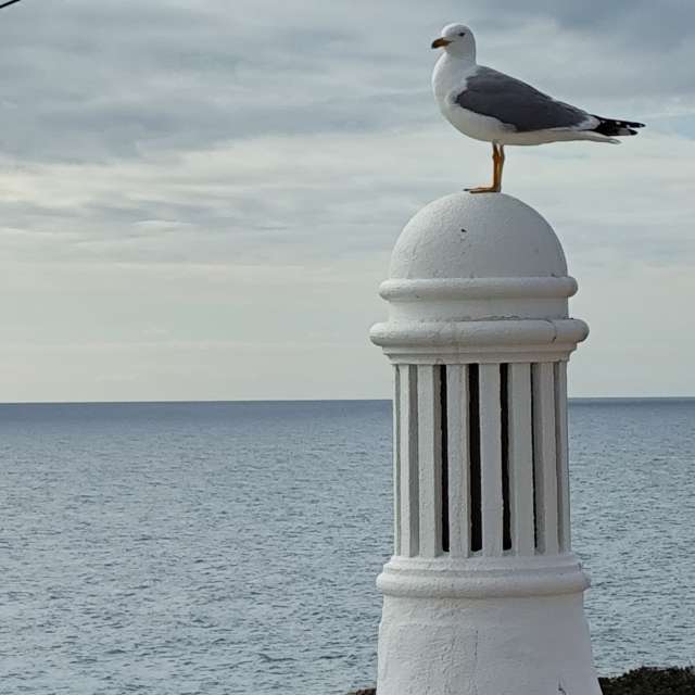 Фотографии Погоды в Мир. Прогнозы погоды с чудесными фотографиями, сделанными Brtd