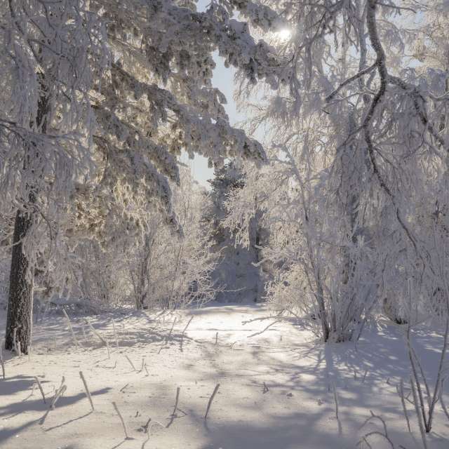 Фотографии Погоды в Мир. Прогнозы погоды с чудесными фотографиями, сделанными Nymph542
