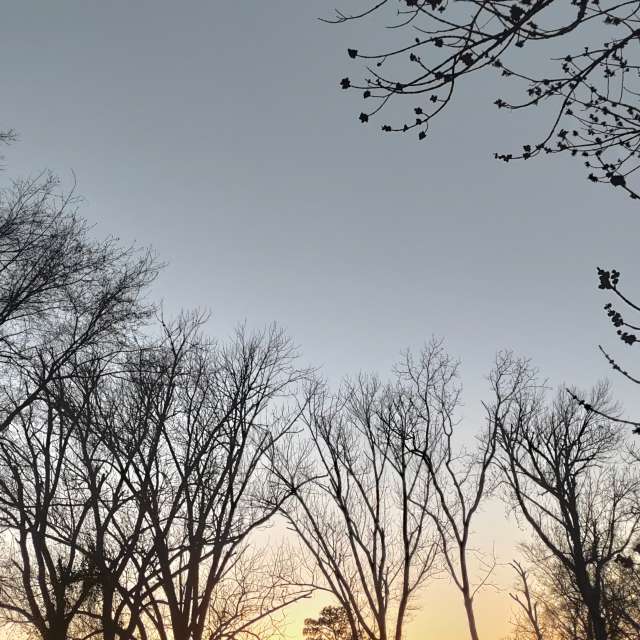 North Carolina United States, 14 days Weather forecast, Radar & Photos