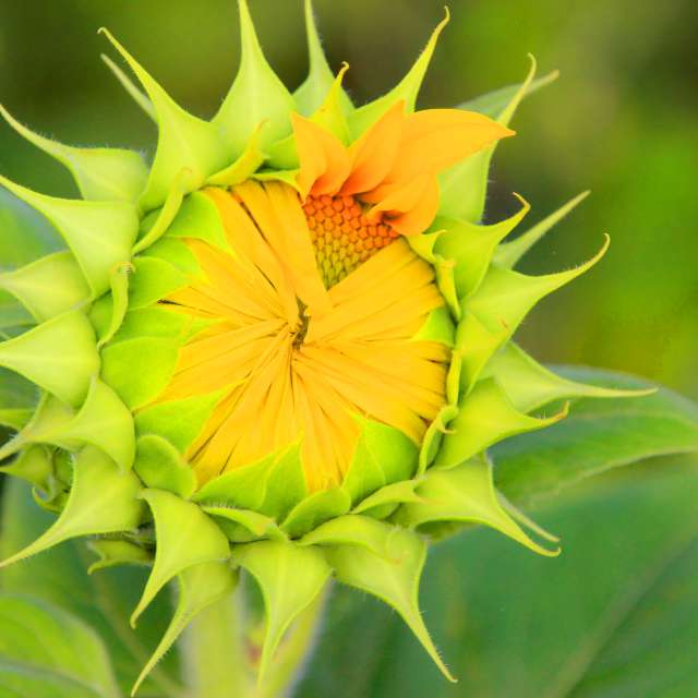 Table. Weather forecasts with beautiful photos by Lotti5507 Photos in Stockum