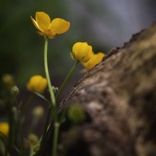 天气预报，带Axys精美的照片