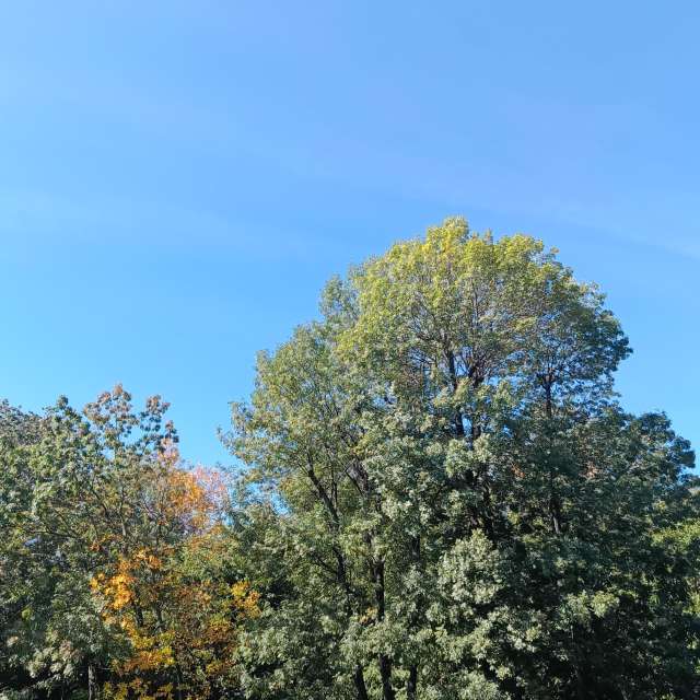 Fotos del Cuerpo. Pronósticos del tiempo con hermosas fotos de YanBog en București