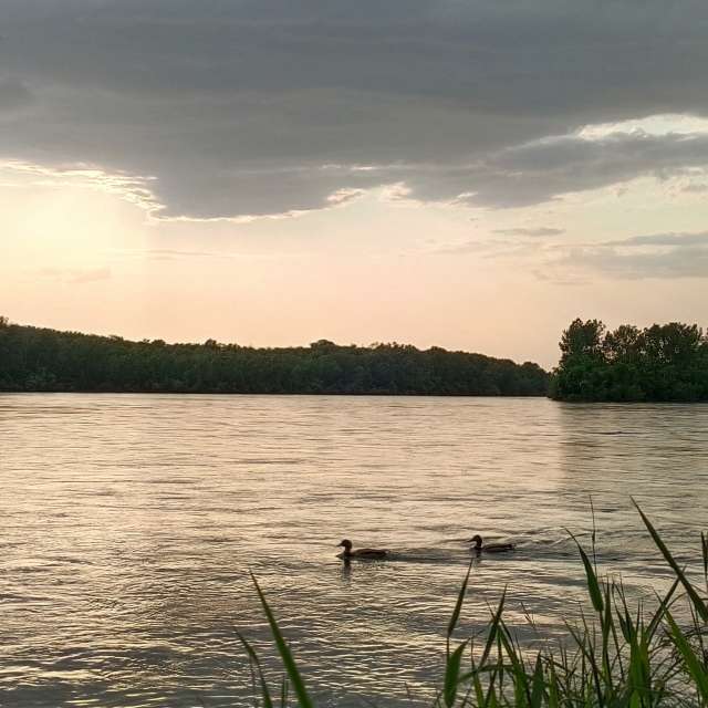Fotos A lei. Previsões do tempo com lindas fotos de ЮлЯШа em Gorodckoy Pliazh V Parke "Samal"