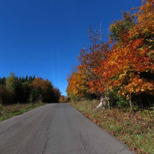 天气预报，带Sviatoslav精美的照片