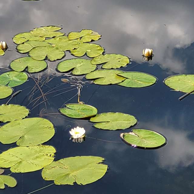 天气预报，带PaulKu精美的照片