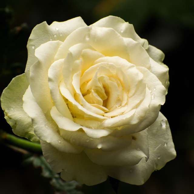 Previsões do tempo com lindas fotos de Vimal_Ram_S