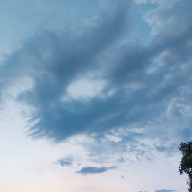 A walk. Weather forecasts with beautiful photos by Iryna Photos in Kharkiv